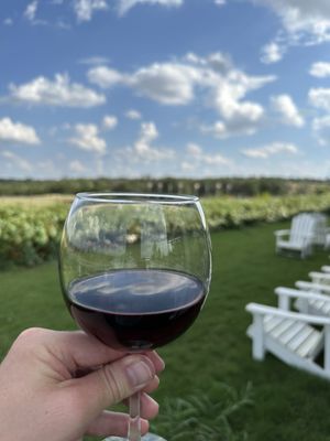 Grapetown Vineyard by null