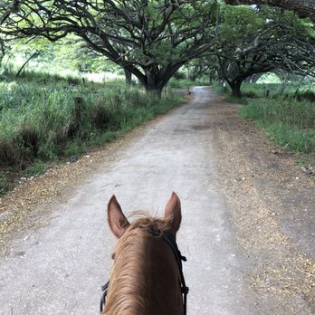 Kualoa Ranch - Tours Near Me - Kaneohe, Hawaii Kualoa Ranch - Tours Near Me - Kaneohe, Hawaii