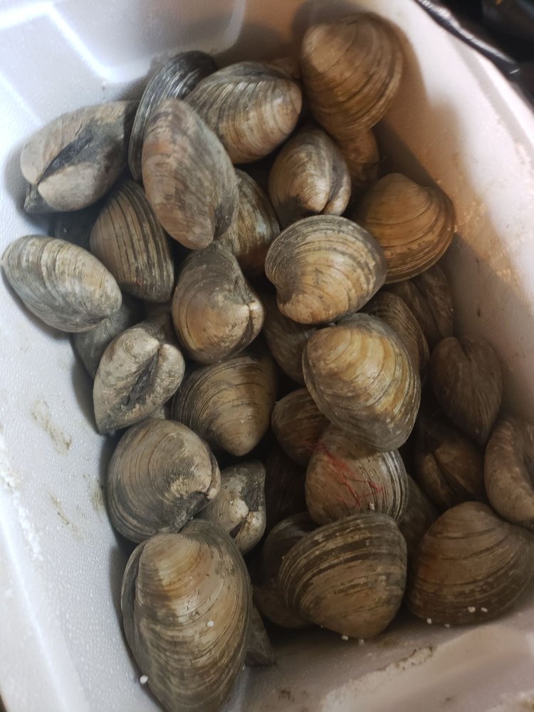 RANDALL’S SEAFOOD 10 Reviews Seafood 301 Ansley Blvd