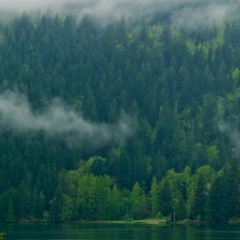 Cultus Lake Provincial Park - View From Entrance Bay Beach - Hiking Near Me