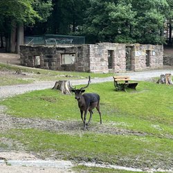 Wildpark Germerode