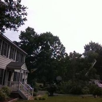Sadler Tree Service - Tree Services Near Me - Blackstone, Virginia Sadler Tree Service - Tree Services Near Me - Blackstone, Virginia