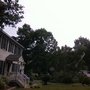 Photo of Sadler Tree Service