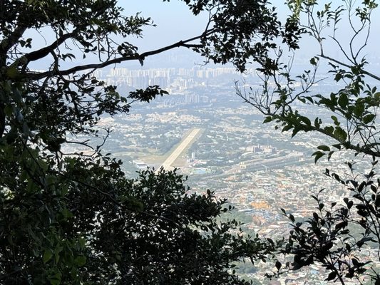 Kadoorie Farm and Botanic Garden by null
