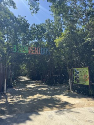 Laguna de Kaan Luum by null