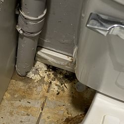 Rockford Properties - Mice getting through here