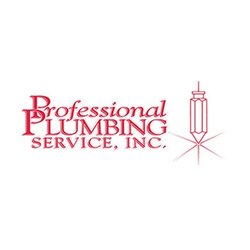 Professional Plumbing Service