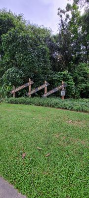 Bukit Batok Nature Park by null