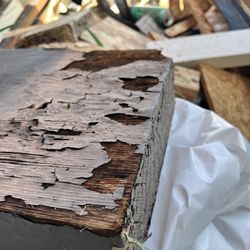 Freeman Roofing - Dry rot