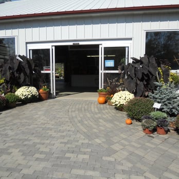 Donaldson's Greenhouse & Nursery - Entry into greenhouse area and plant sales - Nurseries & Gardening Near Me - Hackettstown, New Jersey Donaldson's Greenhouse & Nursery - Entry into greenhouse area and plant sales - Nurseries & Gardening Near Me - Hackettstown, New Jersey