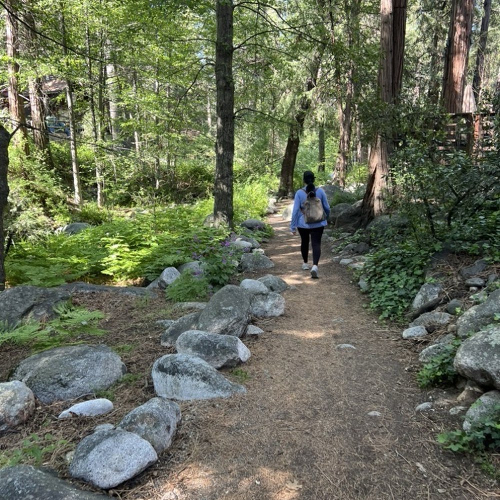 Strawberry Creek Inn - Strawberry Creek behind the Inn. - Hotels Near Me - Idyllwild, California