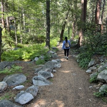Strawberry Creek Inn - Strawberry Creek behind the Inn. - Hotels Near Me - Idyllwild, California