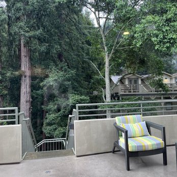 Mill Valley Inn - Patio - perfect for sipping wine or eating breakfast with the redwoods. - Hotels Near Me - Mill Valley, California