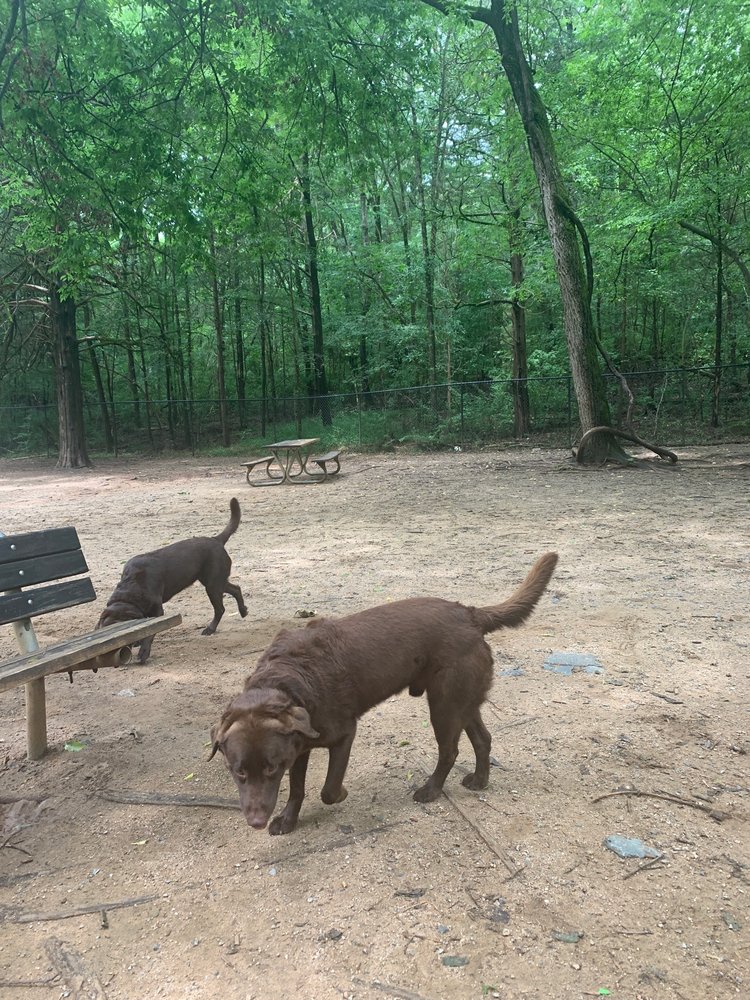 MECKLENBURG COUNTY WILLIAM R DAVIE PARK Updated November 2024 62