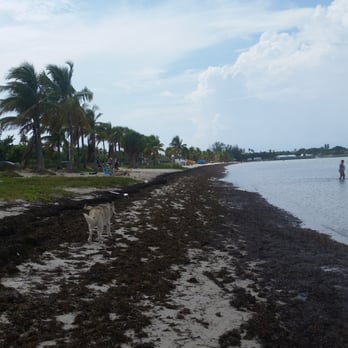 Key Biscayne Dog Beach - Beaches Near Me - Key Biscayne, Florida Key Biscayne Dog Beach - Beaches Near Me - Key Biscayne, Florida