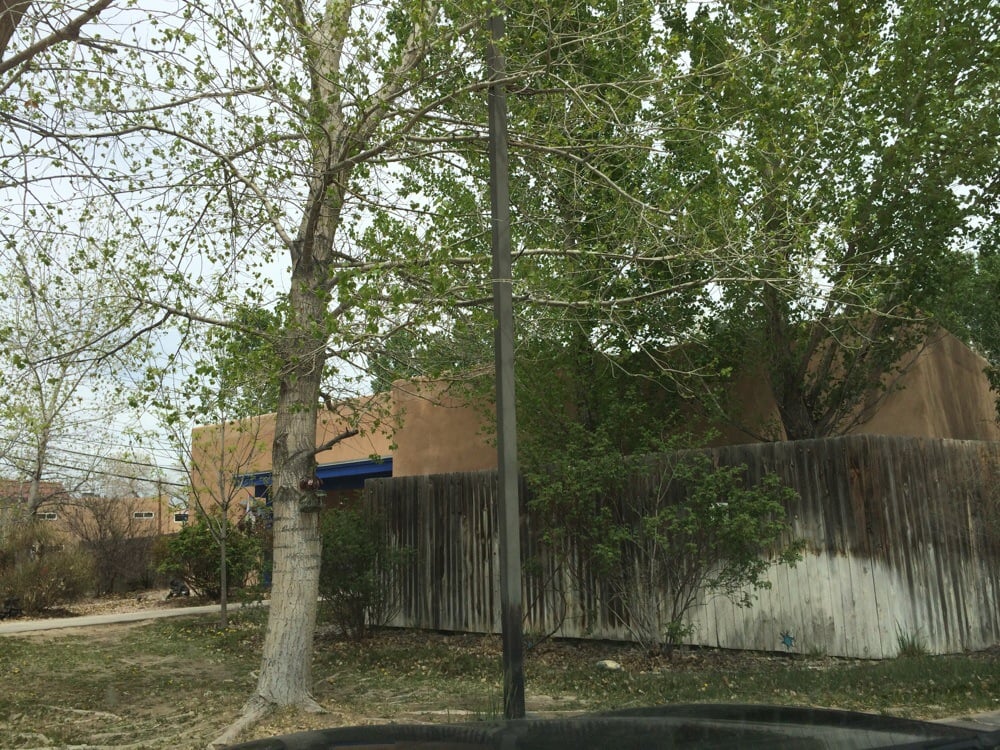 Darling Tribes - childcare center in Corrales, NM