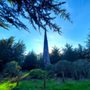 Andy Goldsworthy's Spire