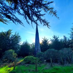 Andy Goldsworthy's Spire - Sculpture
