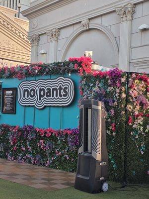 No Pants by null