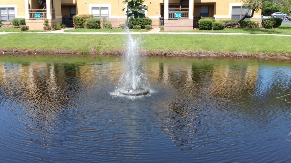 ROBINSON WETLAND 13 Photos 2704 Rooks Rd, Davenport, Florida