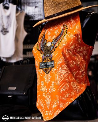 AMERICAN EAGLE HARLEY-DAVIDSON - Updated February 2026 - 961 Photos