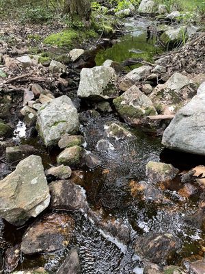 Harriman State Park by null