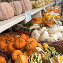 Bayview Market & Farms