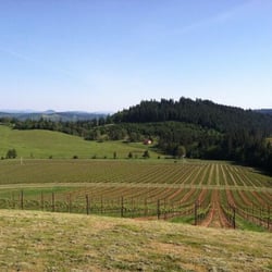 Iris Vineyards