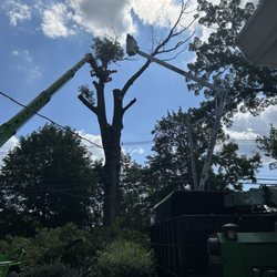 4 Seasons Tree Service