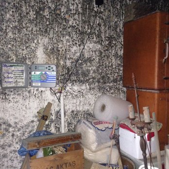 Austin Enviro Group - It's amazing what a little humidity can do over time - Home Inspectors Near Me