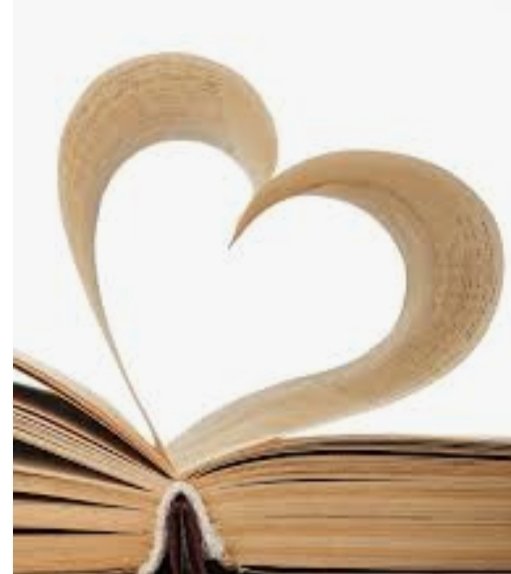 Tampa Bay Tutors - reading tutor in Tampa, FL