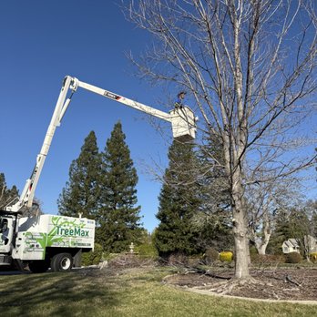 TreeMax Tree Service - Tree Services Near Me - Roseville, California TreeMax Tree Service - Tree Services Near Me - Roseville, California