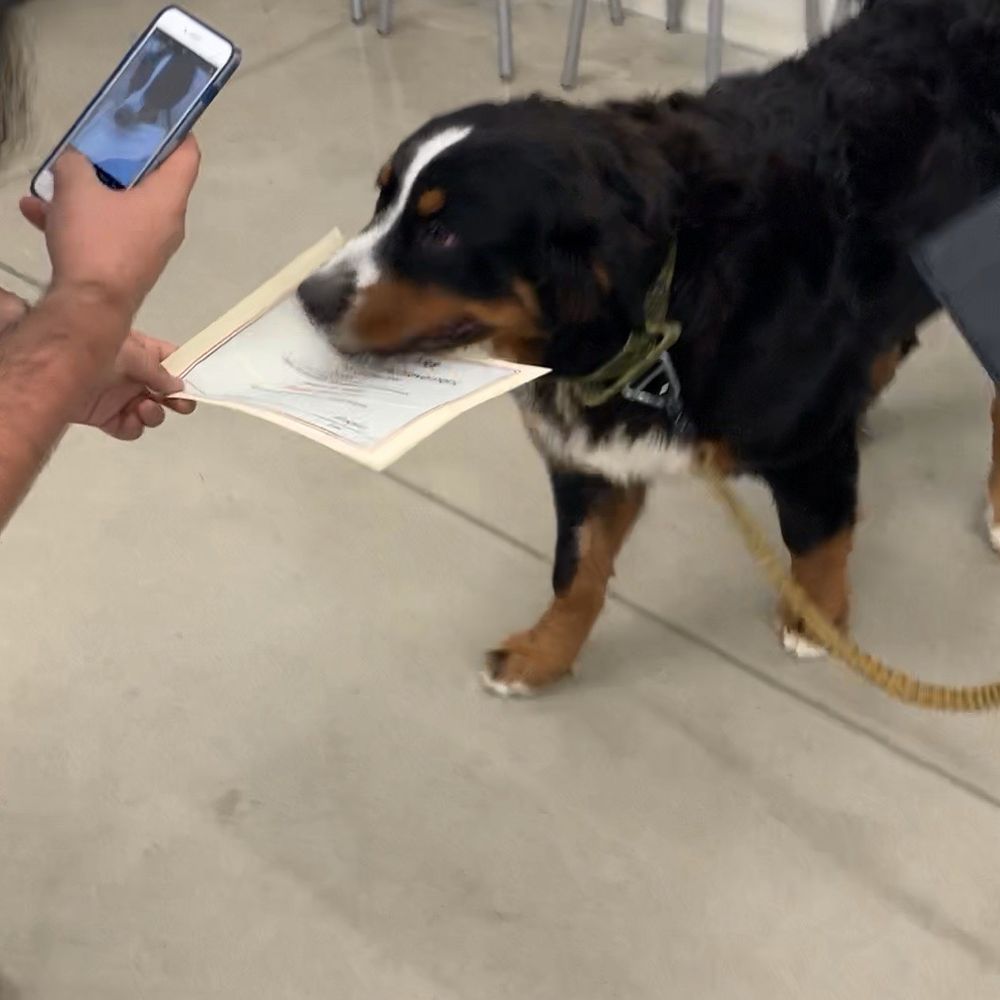 PetSmart - Puppy training Graduation (with awesome Clint) - Pet Stores Near Me - Kokomo, Indiana PetSmart - Puppy training Graduation (with awesome Clint) - Pet Stores Near Me - Kokomo, Indiana