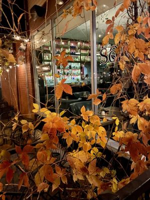 The Gin Room by null