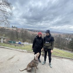 Prague Truffle Hunting Tour - The tour operator with real truffle-hunting dog!