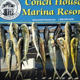 Exterior outside entrance of Knot Tied Down Fishing Charters Exterior outside entrance of Knot Tied Down Fishing Charters