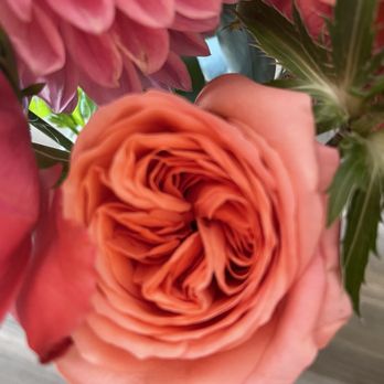 The Flower Girl - I think this is called David Austin rose? - Florists Near Me