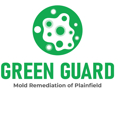 Green Guard Mold Remediation - mold inspector in Plainfield, NJ