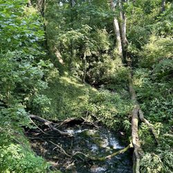 McConnell Springs - Nature