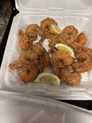 Catfish Station by null