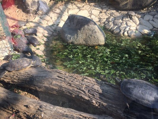 Shoushan Zoo by null