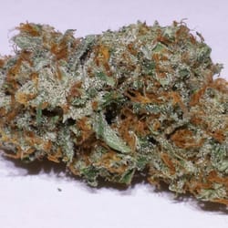 Sticky's Pot Shop - Northern Lights #5. Yes, we have that...