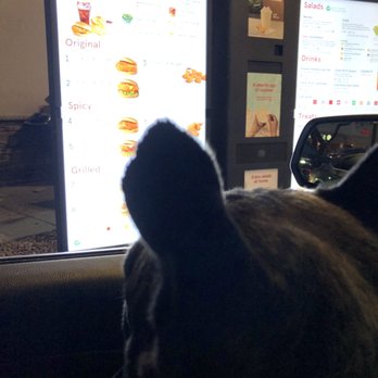 Chick-fil-A - ows a dog looking at a menu - Fast Food Near Me - Phoenix, Arizona Chick-fil-A - ows a dog looking at a menu - Fast Food Near Me - Phoenix, Arizona