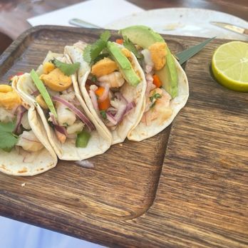 Nikki Beach Miami Beach - Seafood Near Me - Miami Beach, Florida Nikki Beach Miami Beach - Seafood Near Me - Miami Beach, Florida