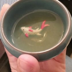 Hokkaido - Carpa en el té