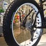 Photo of World Cycle & XC Ski