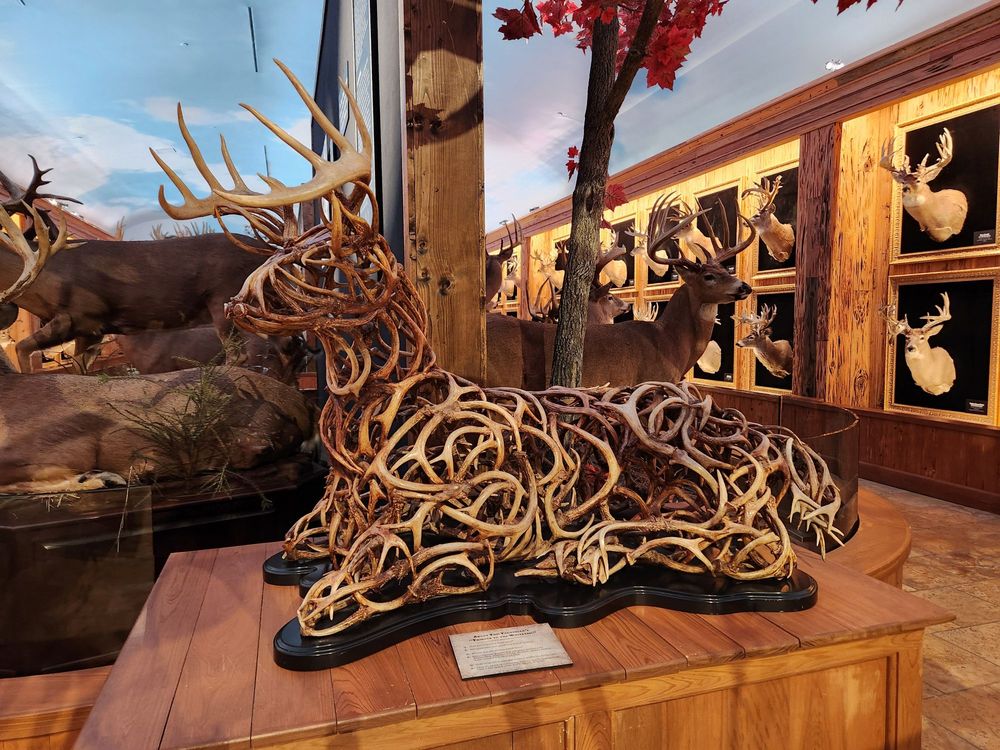 Wonders of Wildlife National Museum & Aquarium