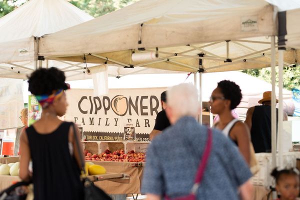 Oak Park Farmers Market by null