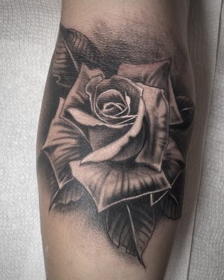 Paradise City Tattoo by null