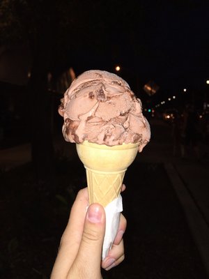 Wild Willy’s Ice Cream by null